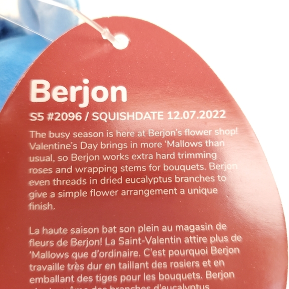 Berjon Squishmallows 5 Inch BNWT Valentines Day Blue Warthog Plush Toy - Picture 7 of 8